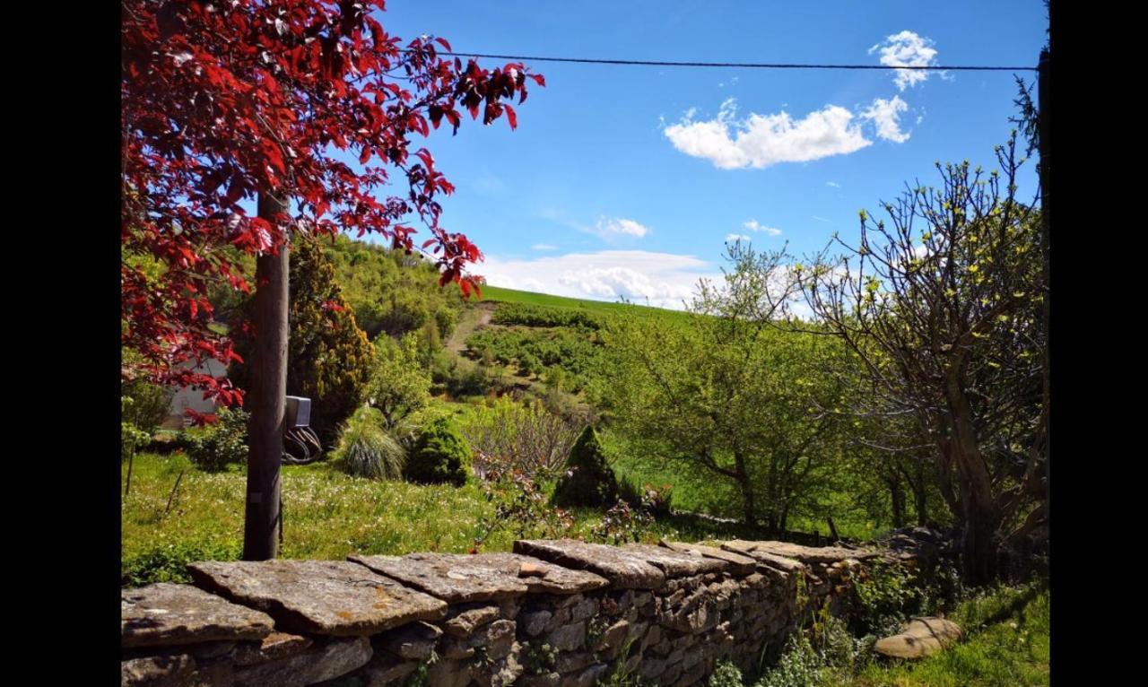 Agriturismo Locanda Dei Cacciatori Dogliani Exterior foto